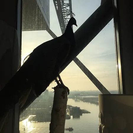 Faralda Crane מלון