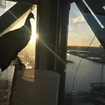 Faralda Crane Hotel 5*