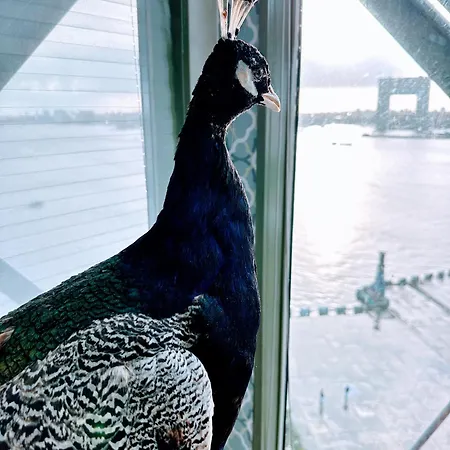 Crane Hotel Faralda Amsterdam