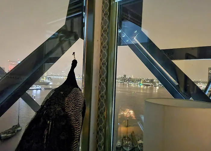 Faralda Crane 5* Amsterdam