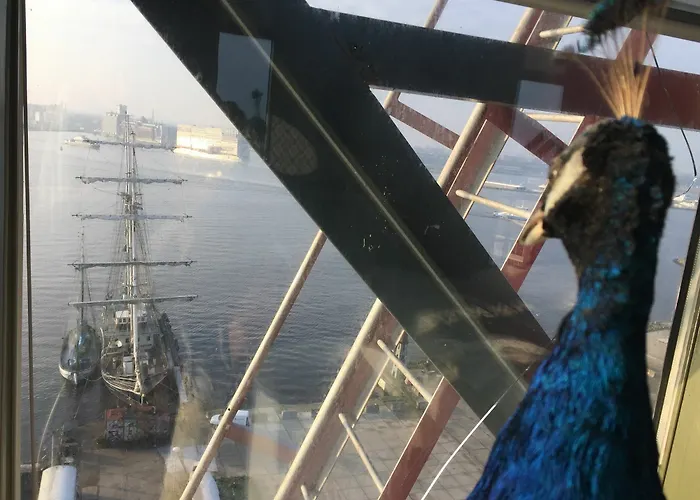 Faralda Crane 5* אמסטרדם