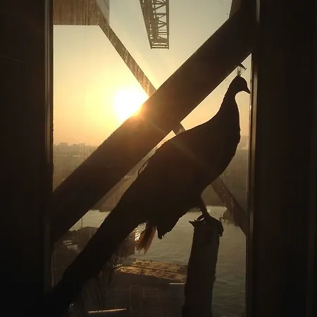 Otel Crane Faralda