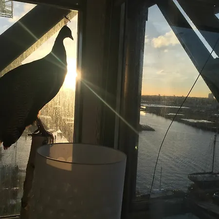 كرين فيرالدا فندق 5*