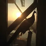 호텔 Faralda Crane